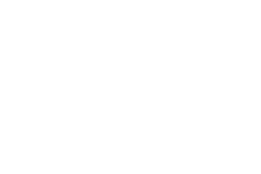 Evolution-Finance