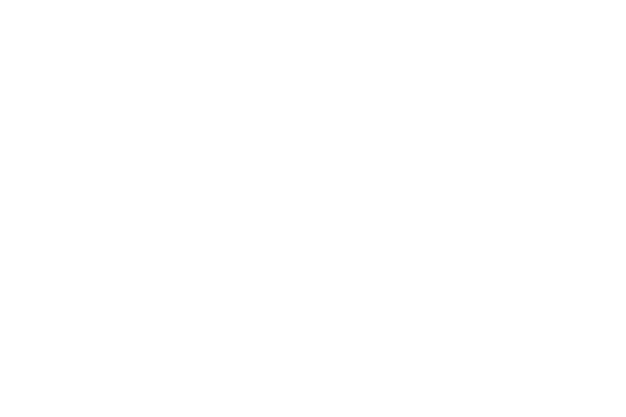 roller-team-logo-white2