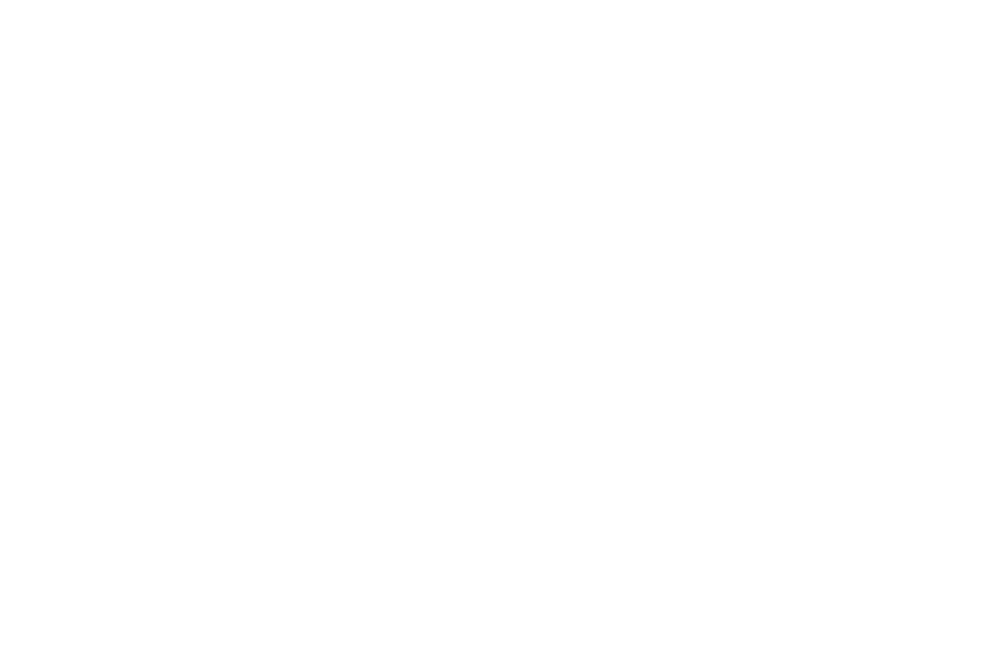 Elavon
