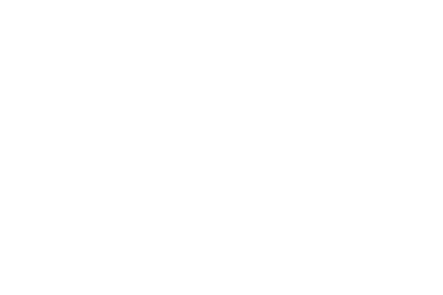 Google-partner