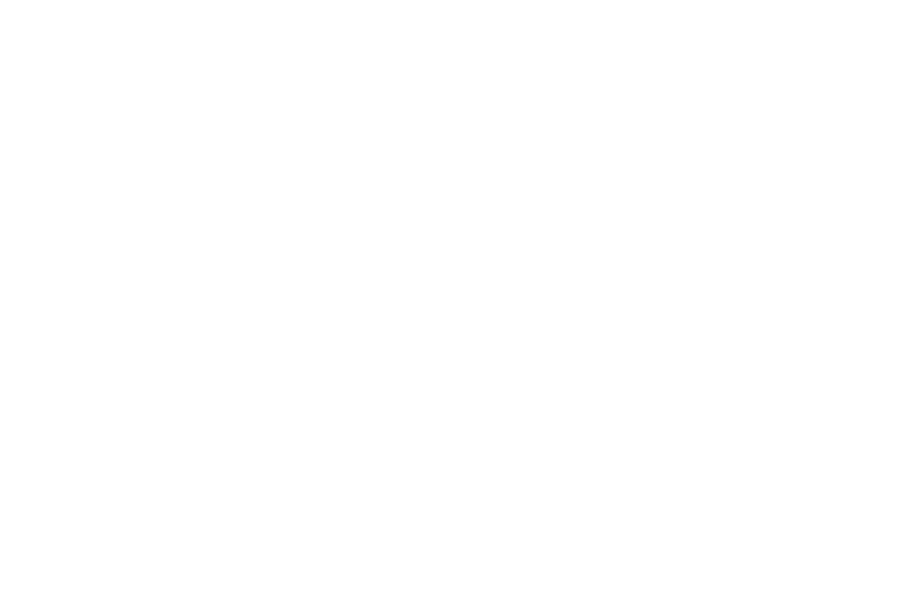 Stricker