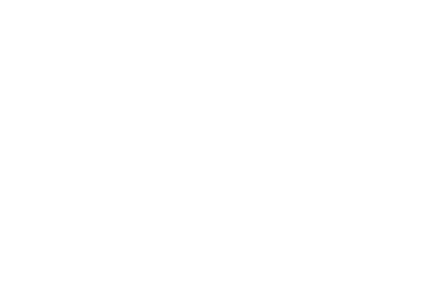 Visitor chat
