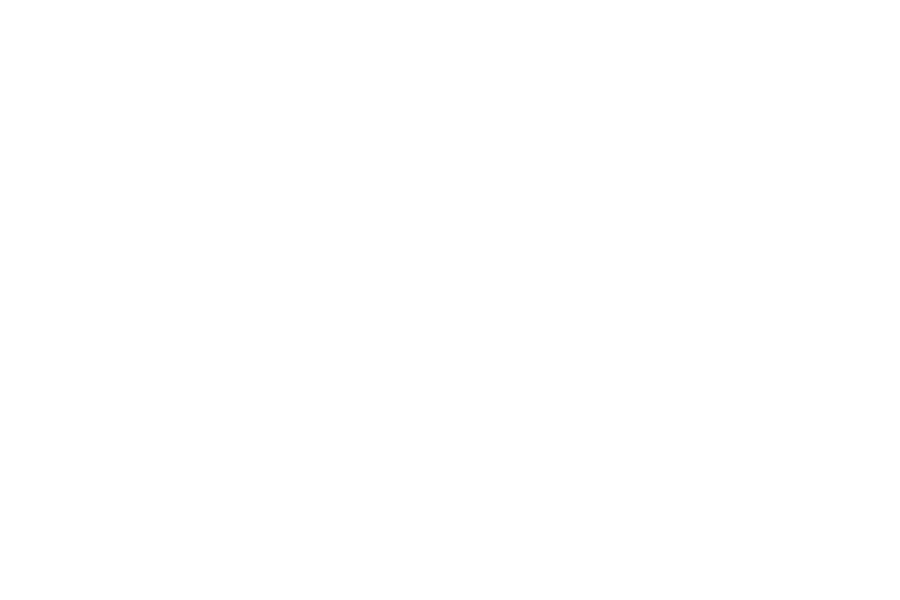 PF-concept